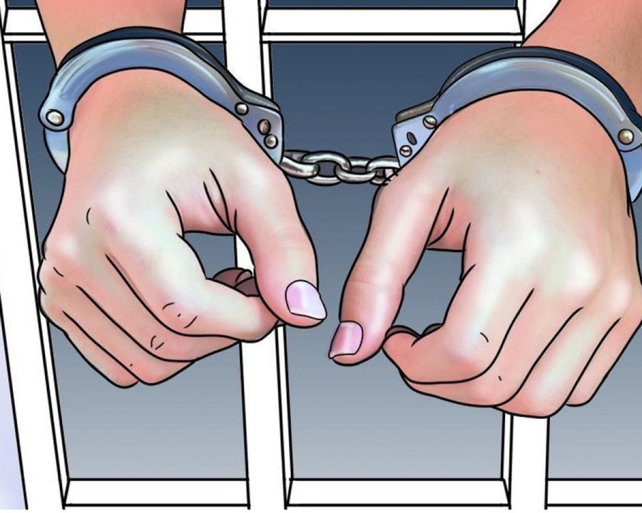दमौलीमा बन्द गराउँदै हिँडेका १६ जना पक्राउ