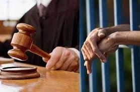 संगठित अपराधमा अदालतको अनुमति लिई प्रहरीले ६० दिनसम्म आरोपितलाई हिरासतमा राख्न पाउने